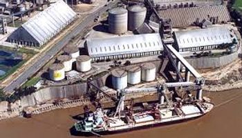 Caería un 39% exportación de biodiésel