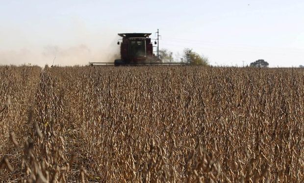 Se trata de una partida de 22,2 toneladas producida en la localidad de Potrero Norte, Formosa.