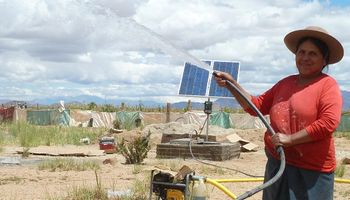 Mayor competitividad para explotaciones ganaderas salteñas con un sistema de bombeo solar