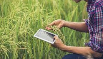 Presentaron el “Ecosistema Agtech Nacional”, una herramienta para asociar tecnologías y trabajar en periurbanos