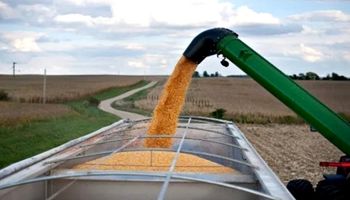 Desconcierto en el mercado de granos: la respuesta de Acopiadores ante la ilegalidad de las retenciones