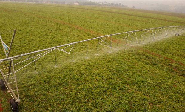 Foto: Geraldo Bubniak/AEN