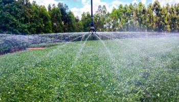 CNA critica proposta do governo e defende que produtor escolha horário de desconto na energia