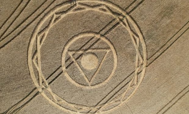 Desenhos gigantes surgem em lavoura de trigo e intrigam produtores em SC