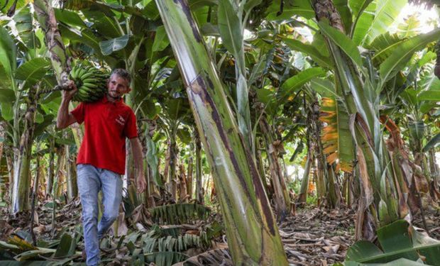 Renegociação do Desenrola Rural supera R$ 20 bilhões em dívidas