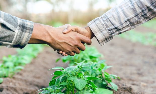 Novo programa é voltado para agricultores familiares, produtores assentados da reforma agrária, indígenas e quilombolas inadimplentes