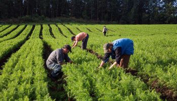 Desenvolvimento Agrário e Senar firmam parceria de R$ 400 milhões para assistência rural