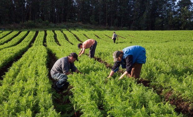Desenvolvimento Agrário e Senar firmam parceria de R$ 400 milhões para assistência rural