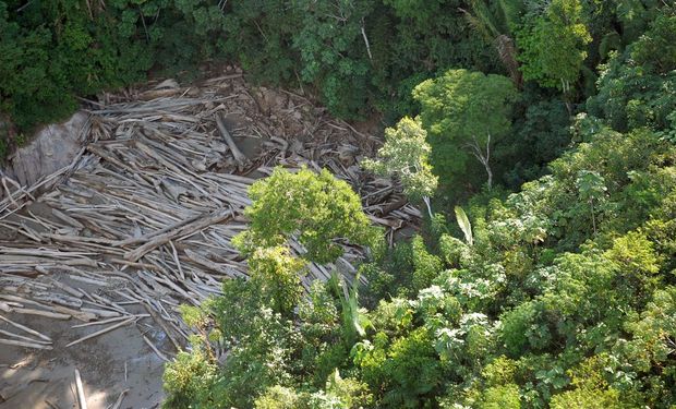 “A ideia é compreender quanto do desmatamento é legalizado", diz coordenadora do MapBiomas. (foto - Agência Brasil)