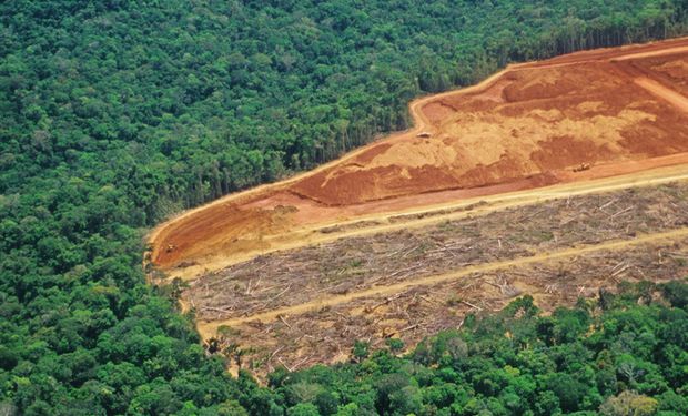 Ibama aplica 3,8 mil multas por desmatamento na Amazônia em 2022