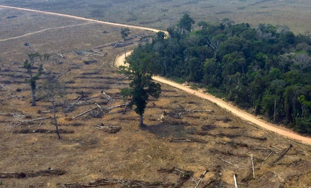 BNDES amplia veto a crédito para áreas com passivos ambientais