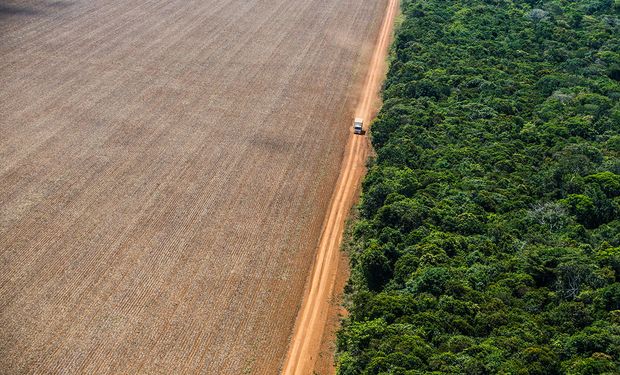 Moratória impede a venda de soja e carne de produtores mato-grossenses que legalmente abriram novas áreas de terra a partir de 2008.