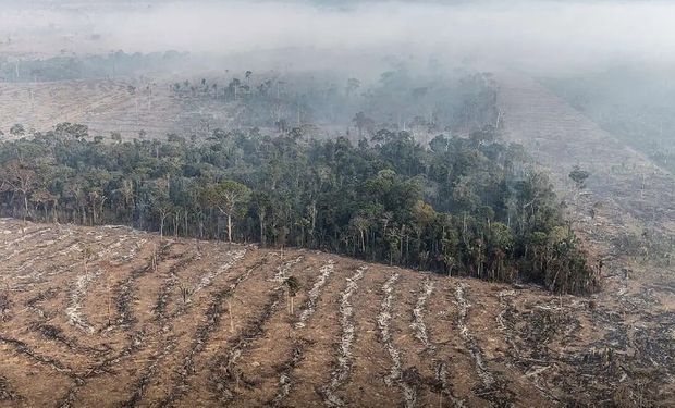 STF autoriza desapropriação de terras por incêndio ilegal e desmatamento