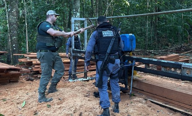 No local do flagrante, foi constatado a existência de uma estrutura organizada formada por serraria portátil, acampamento, tratores e motosserras.