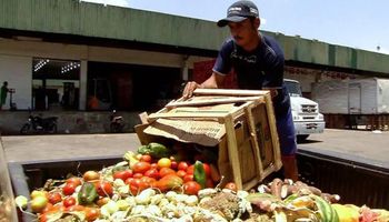 Senadores aprovam texto contra desperdício e pela doação de alimentos