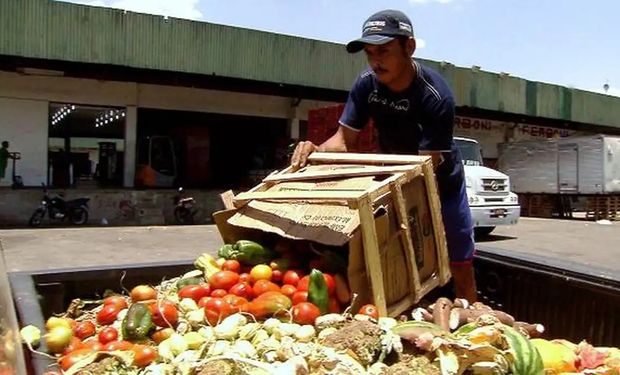 Senadores aprovam texto contra desperdício e pela doação de alimentos