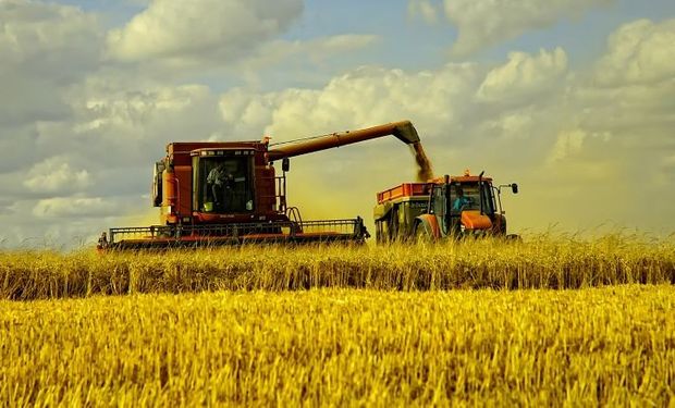 La bioeconomía podría ser clave para la economía del país, puesto que actualmente exportamos productos de baja calidad y valor agregado.