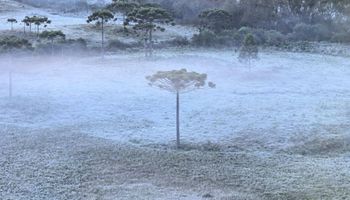 Quinta onda de frio: afinal, até quando vai esse tempo?