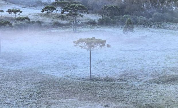 Quinta onda de frio: afinal, até quando vai esse tempo?
