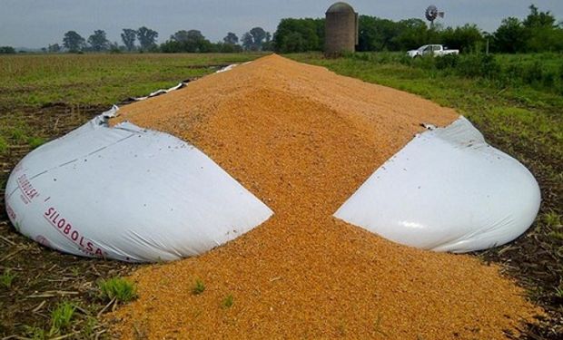 Lo paradójico es que desde el Gobierno se achaca a los productores que guardan soja para no vender, pero en este caso la bolsa tenía maíz. Foto: Info Cañuelas