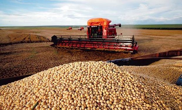 Productores aseguran que el Gobierno les devolverá sólo un 20% de lo que les saca por retenciones de cada tonelada.