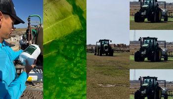 ¿Se puede pintar el pasto? Esto y más se podrá ver en el evento más importante de césped de la Argentina