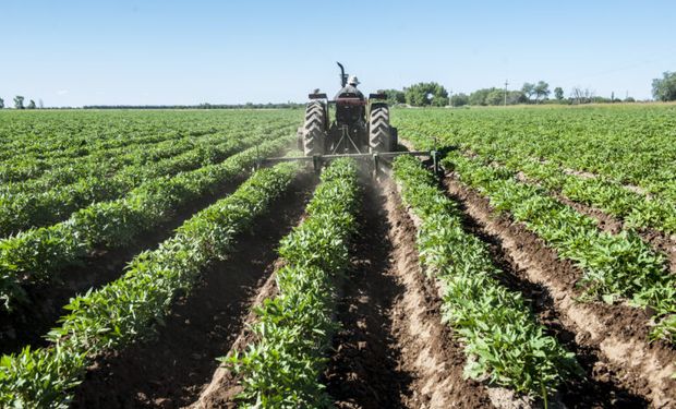 Día del Campo: por qué se celebra el 7 de marzo y qué significa en Argentina