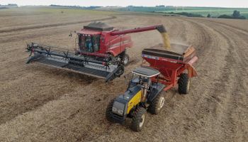 Dia do Agronegócio destaca setor que impulsiona o PIB e posiciona o Brasil entre líderes globais de alimentos