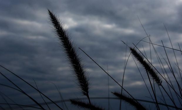 Pronóstico del tiempo día por día: cuándo regresarían las lluvias