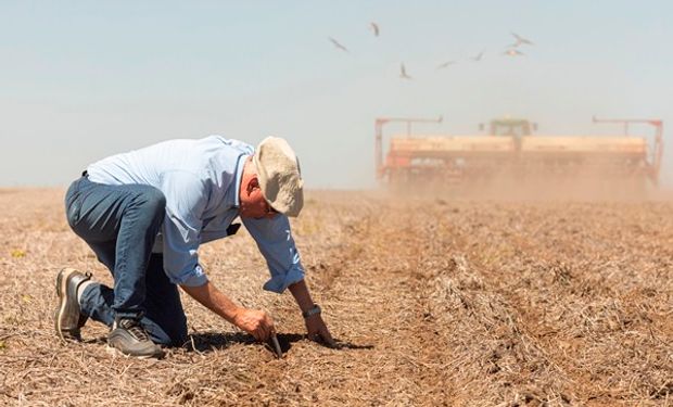 Día Mundial del Suelo: la agricultura argentina, cada vez más productiva y sustentable