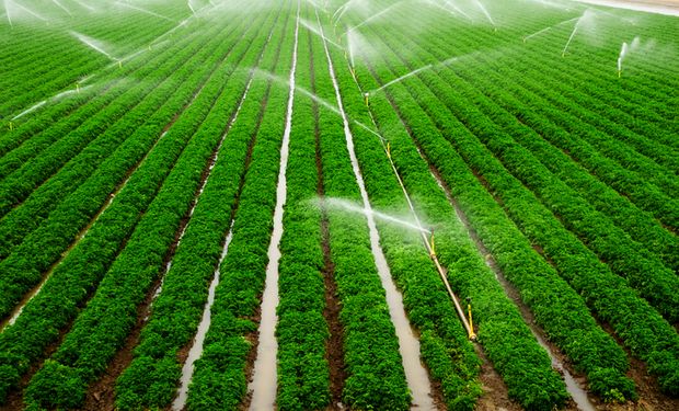 Ministro destaca potencial da irrigação no Brasil 