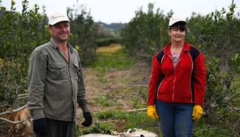 Día del Trabajador Rural, un homenaje a quienes día a día construyen el futuro: por qué se celebra cada 8 de octubre