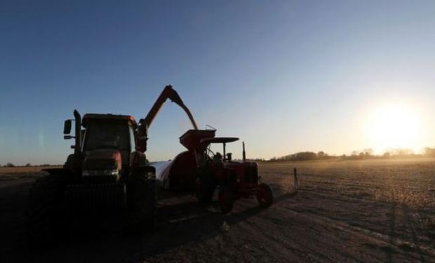 Día de la Agricultura en Argentina: por qué se celebra el 2 de julio