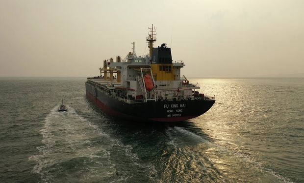 Día de la Gente de Mar: en 2019 ingresaron 9 buques oceánicos por día al Gran Rosario