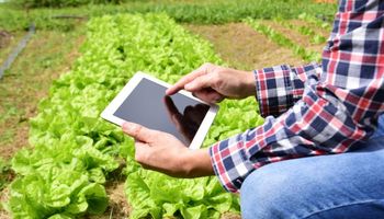 Tecnologia ajuda agricultor a calcular o custo de produção e já planejar próxima safra