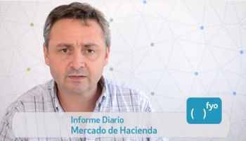 Con poca oferta hubo ganancias en Liniers