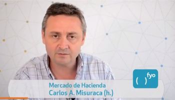 Mercado de Ganado Rosario: mejor oferta del año