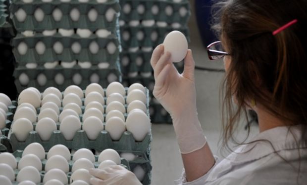 Investigadores argentinos crearon el primer producto de origen nacional en base a tecnología de inmunoglobulinas de yema de huevo (IgY).