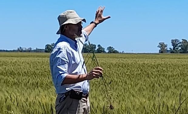 Es productor y recibió un premio por su aporte a la agricultura