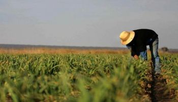 Cuánto cobran los trabajadores rurales en 2025