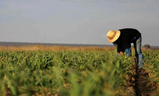 Cuánto cobran los trabajadores rurales en 2025