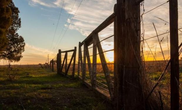 Nuevo plan de pago para las Pymes agropecuarias. Posibilidad de  refinanciar deudas fiscales hasta 10 años.