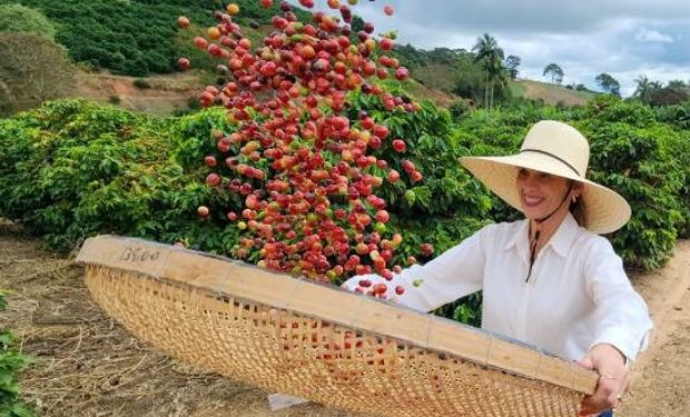 Paixão pelo café atravessa gerações e transforma vida de produtora de MG