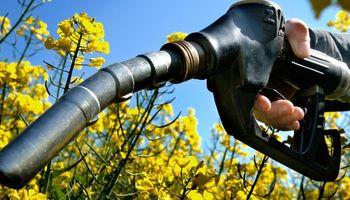 Diesel deve bater recorde em 2026 e biodiesel cresce 7,2%, diz StoneX