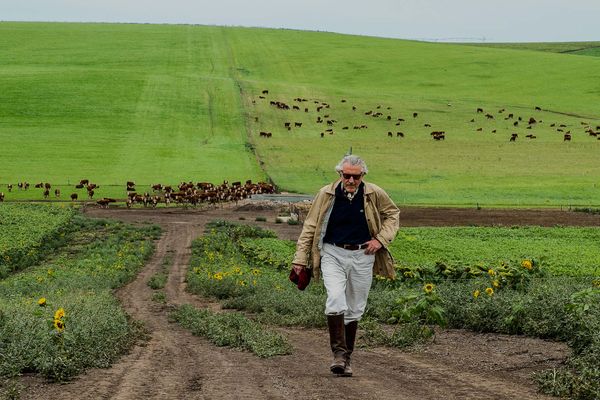 dieter meier ganaderia