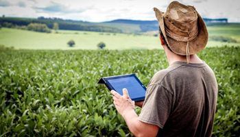 McKinsey: alta global de alimentos será revertida em tecnologia no campo