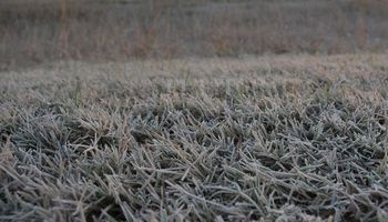Aire polar: se esperan nevadas en importantes puntos del país