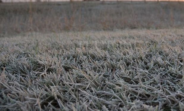 Aire polar: se esperan nevadas en importantes puntos del país