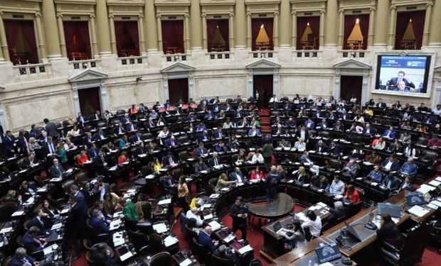 Ley de humedales: se impuso el proyecto que no "excluye", pero hubo dos dictámenes