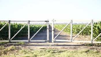 Calor extremo para las fiestas: se esperan temperaturas máximas de 42 °C en gran parte del país